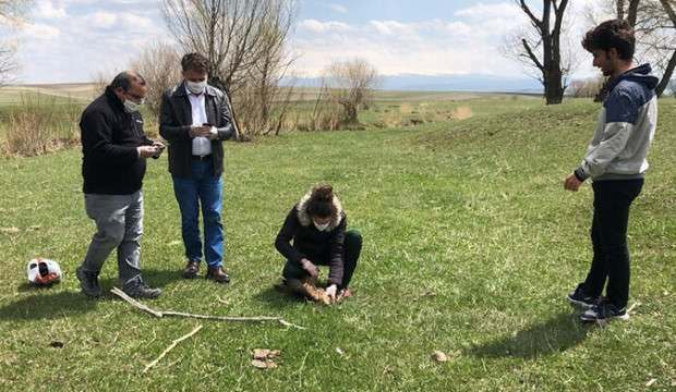 Ermenistan sınırında ölü bulunan şahinlere mikrobiyolojik inceleme