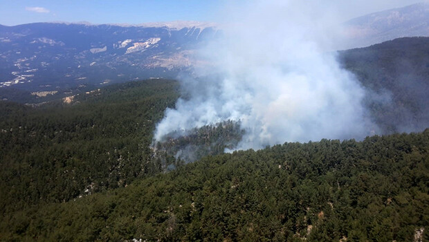 Demre’deki yangında, 100 dönüm orman alanı kül oldu