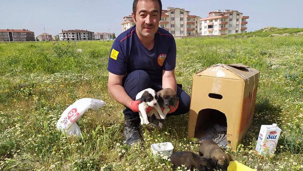 Toprak altında mahsur kalan yavru köpekler kurtarıldı