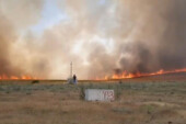 Ankara’da yangında 700 dönüm ekili arazi zarar gördü