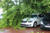 Fırtınanın devirdiği ağaç, otomobillere zarar verdi