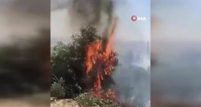 Yahudi yerleşimciler Filistinlilerin arazilerini ateşe verdi
