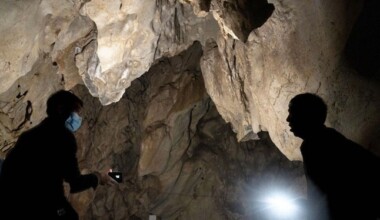 Çin, yarasa mağaralarını abluka altına aldı